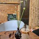 천하마을야영장 이미지