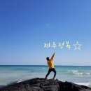 1903 제주2박. 북동쪽 탐방