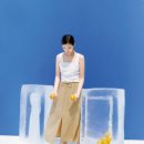 레몬라이프 이미지