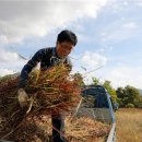 소정1마을회관 이미지