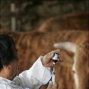 구지동물병원 이미지