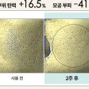 국제K뷰티협회/K뷰티뉴스 | 해양바이오 소재 적용 제품 연이은 출시, K-뷰티 혁신 이끈다