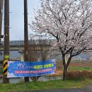 안양7동 행정복지센터 공중화장실 | 제4회 순천 서면 벚꽃 축제 정보 및 실시간 개화 상황 최신