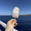 동도마이동식화장실 | 신혼여행 - ③ 칼립소 몰로키니 스노쿨링, 할레아칼라 일몰, 마우이 마이타이, 월마트, 시차적응꿀팁