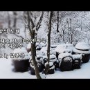 고향의 노래/김재호 시, 이수인 작곡/테너 박인수 &amp; photo by 임종근 이미지