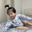 오뎅오색