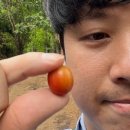 포스트커피로스터리 이미지