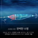 비다컴퍼니