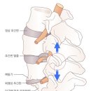 카이로프락틱