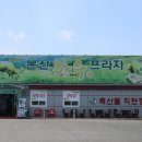 본산한우프라자 이미지