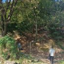 유격장 지나 이미지