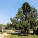 최고자원 이미지