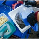 만당샤브샤브 | 남당항맛집 순희네수산 탱탱하고 싱싱한 대하