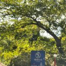 서산글램핑 이미지