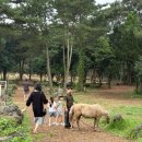 양심목장 | [제주도] 대한목장 솔직후기 과연 핫플카페일까? 내돈내산!