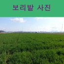 유선농장 이미지