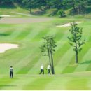 가야(주) 이미지