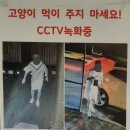 보배어린이집 이미지