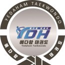 용인대예다함태권도 이미지