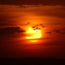 한오백년 이미지