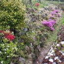 철쭉민박 이미지