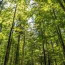 보강한의원 이미지