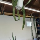 만민농원 이미지