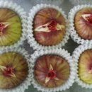 육일농장 이미지