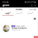 반려식물(홈가드닝) 이미지