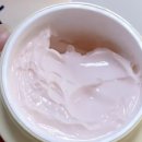 (주)지아인 | [공지] 환절기 피부결 망가졌을때 심폐소생술을 위한 가성비 팩 지아이케이 바운싱 크림 마스크팩