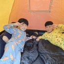 더샵멘토