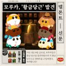 강제갓생으로 시작하는 뉴이어