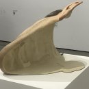 [국립현대미술관]론 뮤익(Ron Mueck)