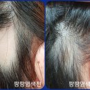 큐사랑호남지사전주점