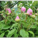 여주-0516 이미지