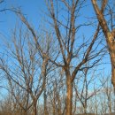 김영복농장 이미지