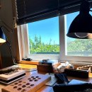 우주생고기 이미지