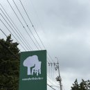 기장 대형신상카페 몽벨쉘터 일광점 내돈내산 후기