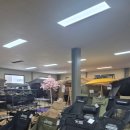 고릴라 | 시흥 고릴라 캠핑 후기