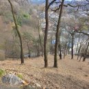 공산성남문길 이미지