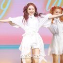 파시 이미지
