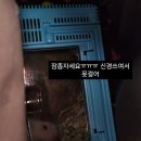 찬샘동물병원 이미지
