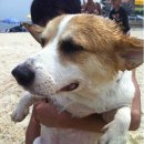 똘똘이농장 이미지