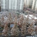 신명보람공인중개사사무소 네이버블로그