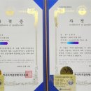 팀크로우 MMA 이미지