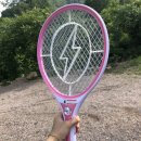 춘천마당발펜션 이미지