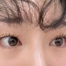브로우리즈