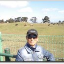 도남모터스 이미지