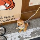 성수 이미지