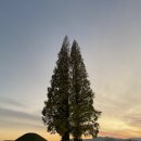 황남동 주민자치센터 화장실 이미지